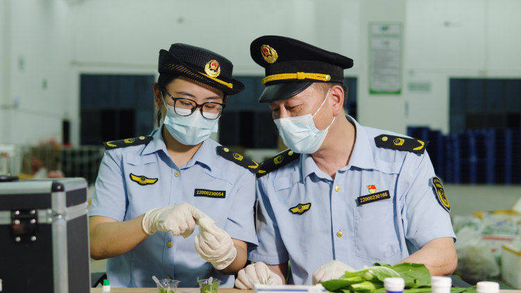 篇｜“阳光厨房”更放心：从看不见到全透明麻将胡了2模拟器试玩“十四五”答卷·食安(图4)